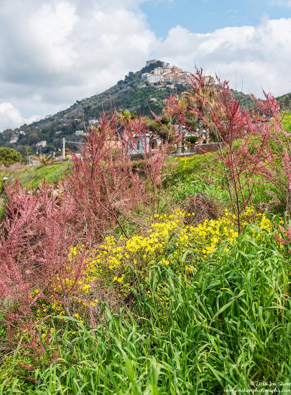 Spring at San Marco di Castellabate Italy