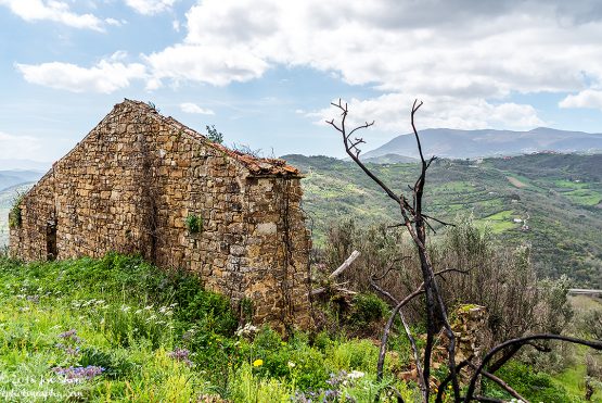 Wall Spring Cilento Italy