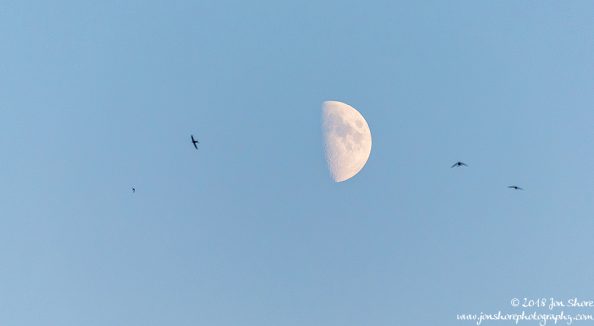 Moon Riga Latvia July 2018