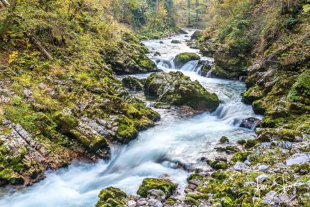 Canyon Rapids Bled Slovenia October