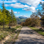 Ruderi di Romagnano Al Monte Cilento Italy Jon Shore December 2018 72dpi-2091