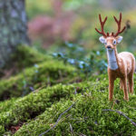 Toy Deer Latvia Summer September 2019 72dpi-3192