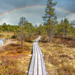 Rainbow path Sulfur Water Bog Spring Latvia by Jon Shore May 2020 72dpi-1984