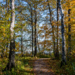 Autumn Kemeri Latvia by Jon Shore October 2021 72dpi-0684