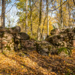Autumn Ligatne Latvia by Jon Shore October 2021 72dpi-0493