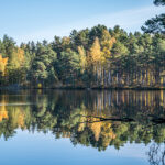 Kemeri Latvia by Jon Shore October 2021 72dpi-0561