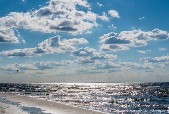 Jurmala Latvia Beach on the Baltic Sea. Tamron 100mm