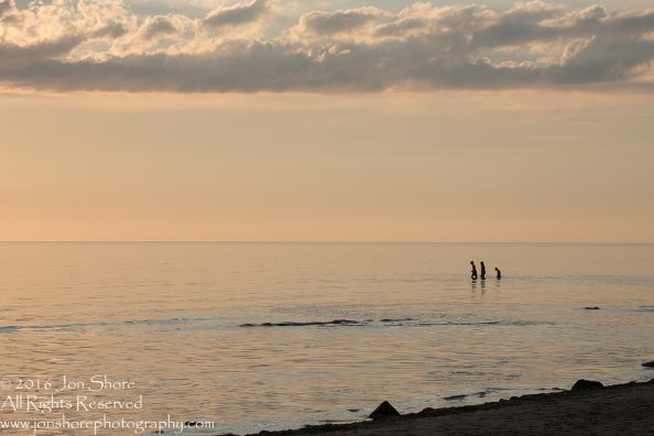 Sunset Tuja, Latvia with boys in the sea. Tamron 200m