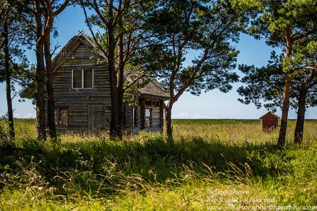 Cabin Estonia