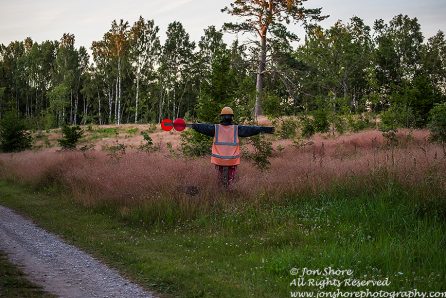 Cool scare crow Estonia