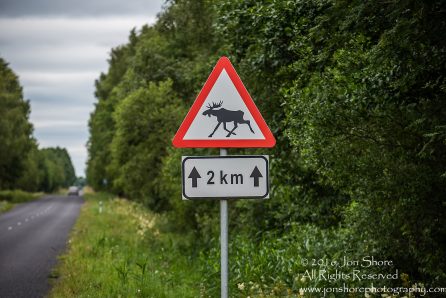 Moose sign Estonia