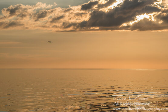 Sunset Tuja, Latvia. Tamron 200m