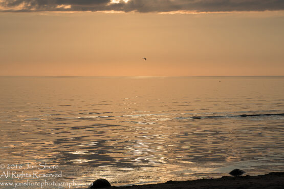Sunset Tuja, Latvia. Tamron 200m