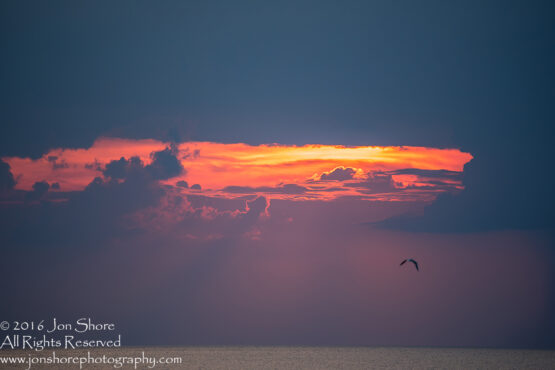 Sunset Tuja, Latvia. Tamron 200m