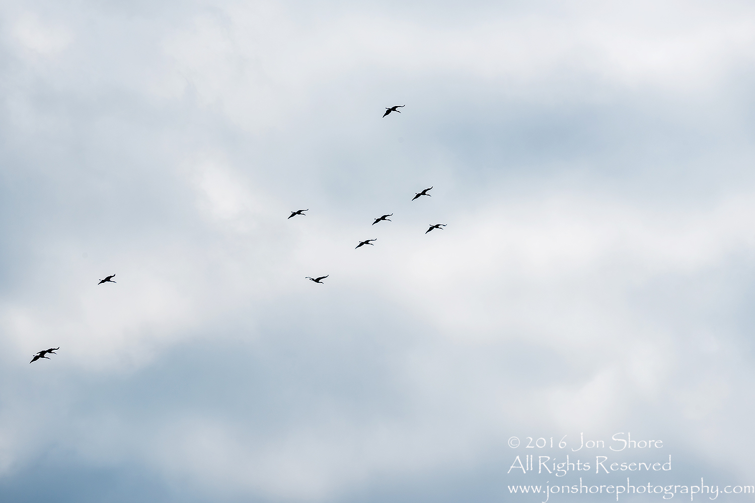 Storks Flying South for their Migration. Tamron 300mm