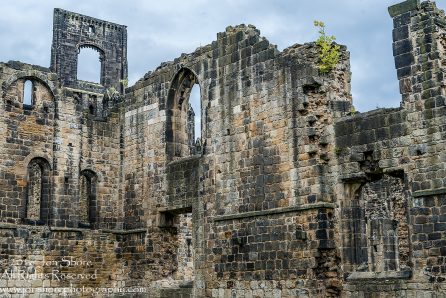 Kirkstall Abbey, Leeds, UK - Nikkor 50mm lens