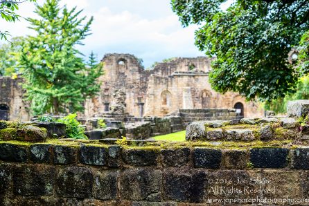 Kirkstall Abbey, Leeds, UK - Nikkor 50mm lens