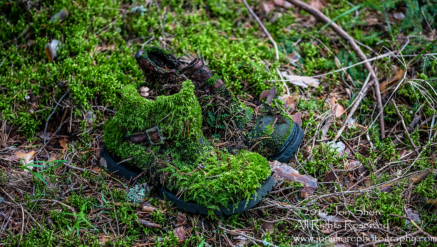 Moss Boots - Summer - Latvia Tamron 70mm Lens