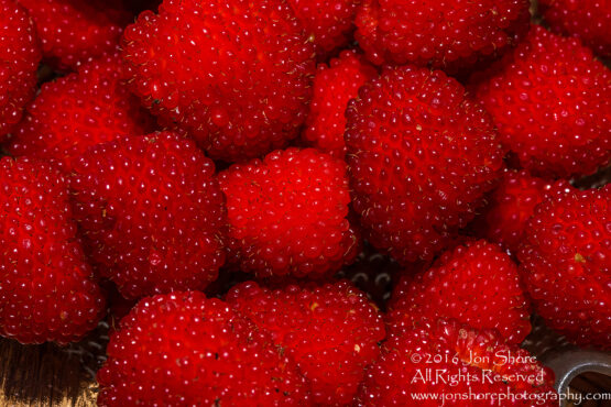 Strasberries - Strawberry Raspberry Hybrid Macro Tamron 90mm Macro Lens