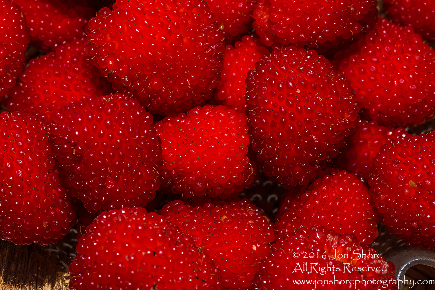 Strasberries - Strawberry Raspberry Hybrid Macro Tamron 90mm Macro Lens