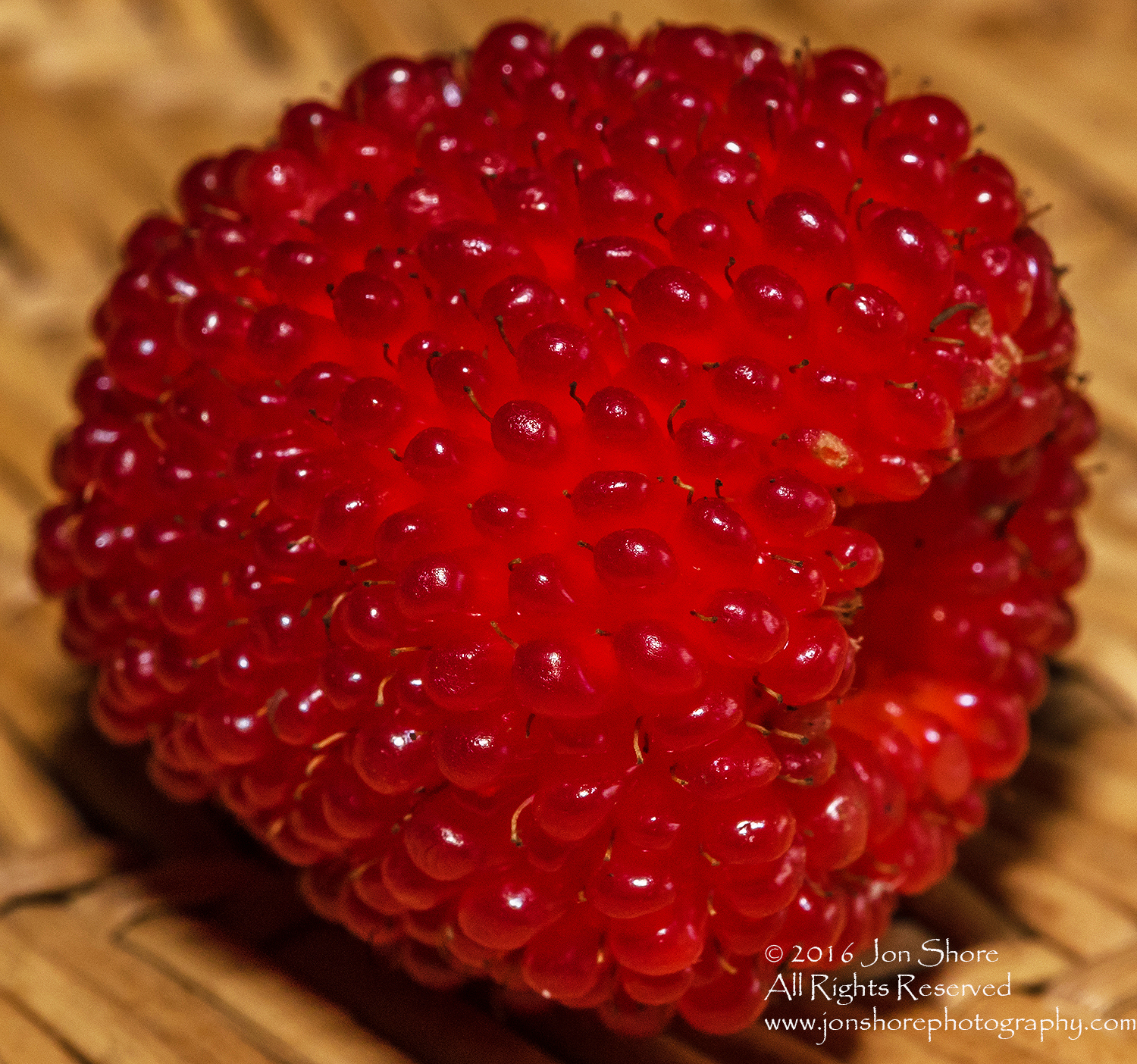 Strasberries - Strawberry Raspberry Hybrid Macro Tamron 90mm Macro Lens