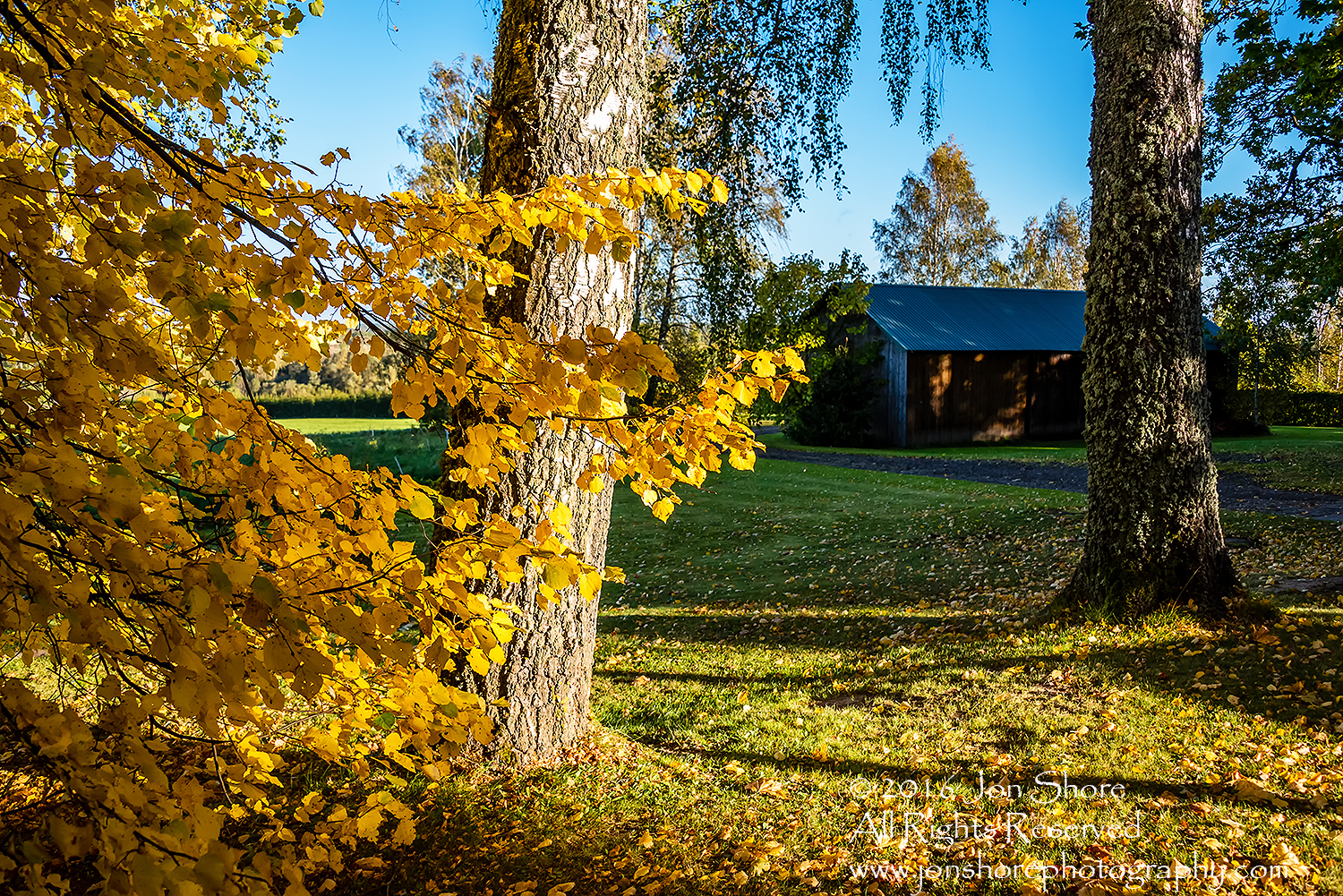 Autumn at the Ozols' Farm. Priekuli, Latvia. Nikkor 50mm