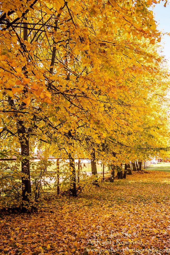 Autumn, Zolitude, Latvia. Nikkor 28mm