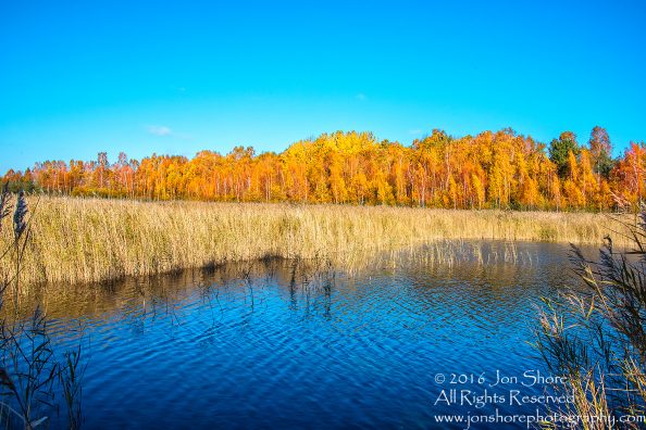 Kemeri National Park, Latvia. Nikkor 28mm