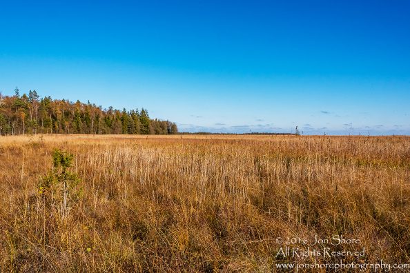 Kemeri National Park, Latvia. Nikkor 28mm