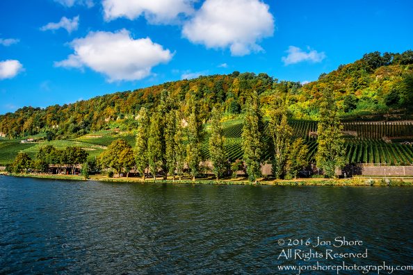 Vineyards, Moselle River, Luxembourg. Nikkor 100mm