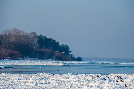 Winter at a Frozen Baltic Sea Beach. Nikkor 300mm