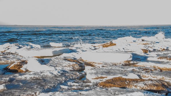 Lielupe Beach in Winter. Nikkor 35mm