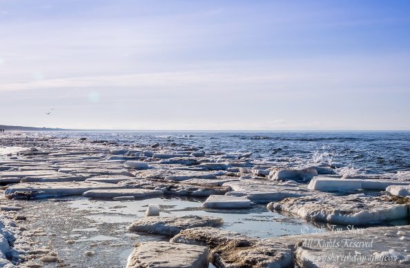 Lielupe Beach in Winter. Nikkor 35mm