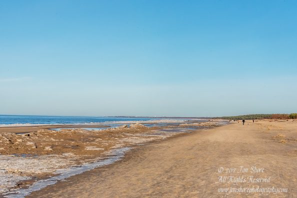 Lielupe Beach in Winter. Nikkor 35mm
