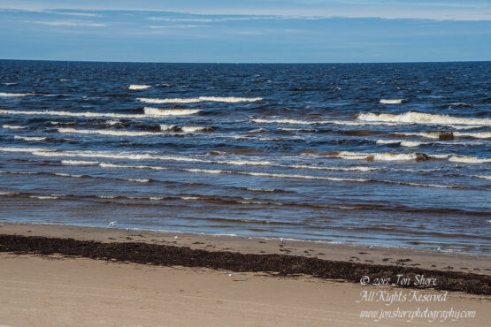 Jurmala Beach Latvia Spring 2017. Nikkor 80mm