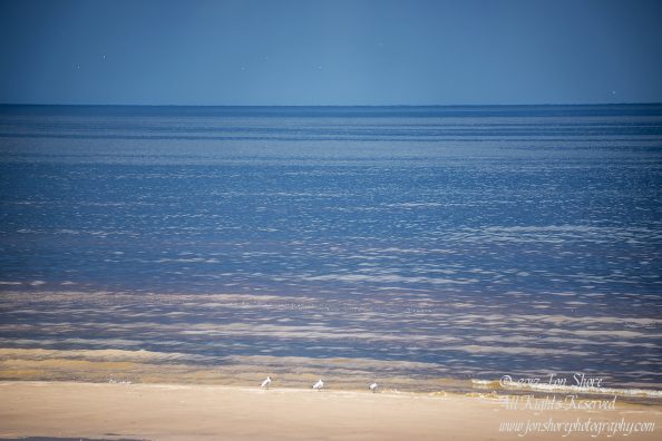 Beach in Jurmala Latvia. Nikkor 50mm