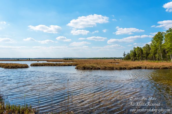 Kemeri National Park Latvia Spring Nikkor 50mm