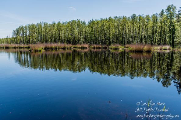 Kemeri National Park Latvia Spring Nikkor 50mm
