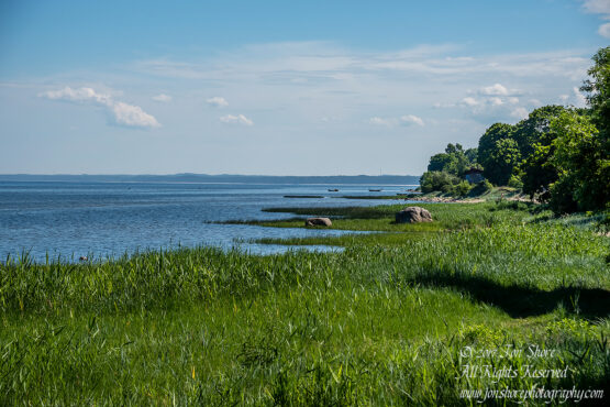 Engure Latvia June 2017 by Jon Shore. Nikkor 100mm