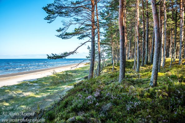 Ragaciems Latvia September 2017 by Jon Shore