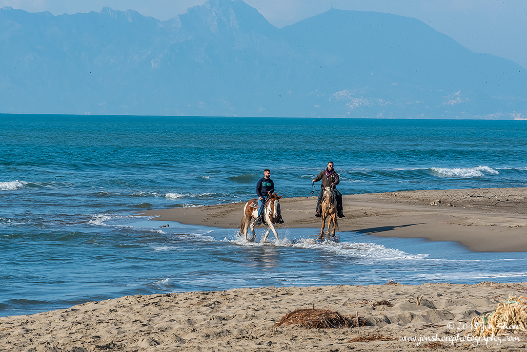 Horses on Beach Cilento Italy January 2018
