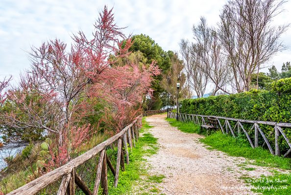 Spring San Marco di Castellabate Cilento Italy
