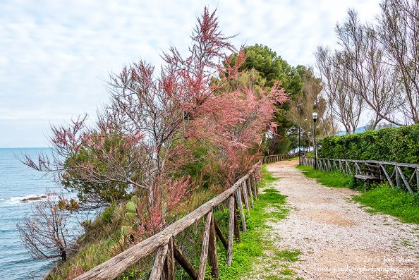 Spring San Marco di Castellabate Cilento Italy
