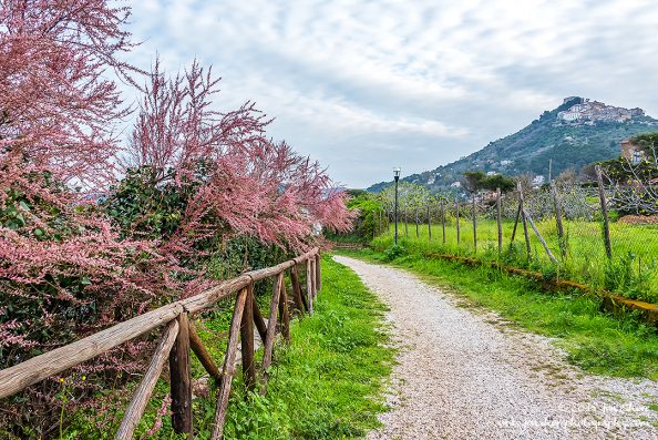 Spring San Marco di Castellabate Cilento Italy