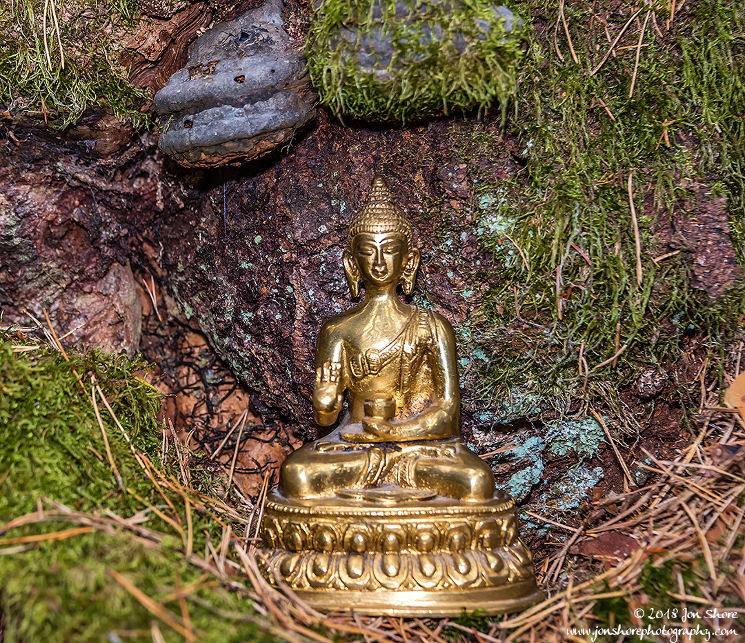 Golden Buddha Meditation Mushroom